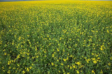 太空城市建造游戏《伊克西翁》将登陆PS5和Xbox Series